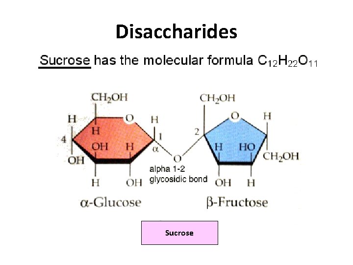 Disaccharides Sucrose 