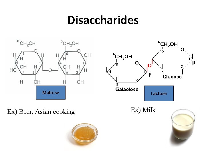 Disaccharides Maltose Ex) Beer, Asian cooking Lactose Ex) Milk 