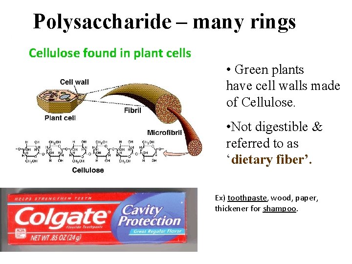 Polysaccharide – many rings Cellulose found in plant cells • Green plants have cell