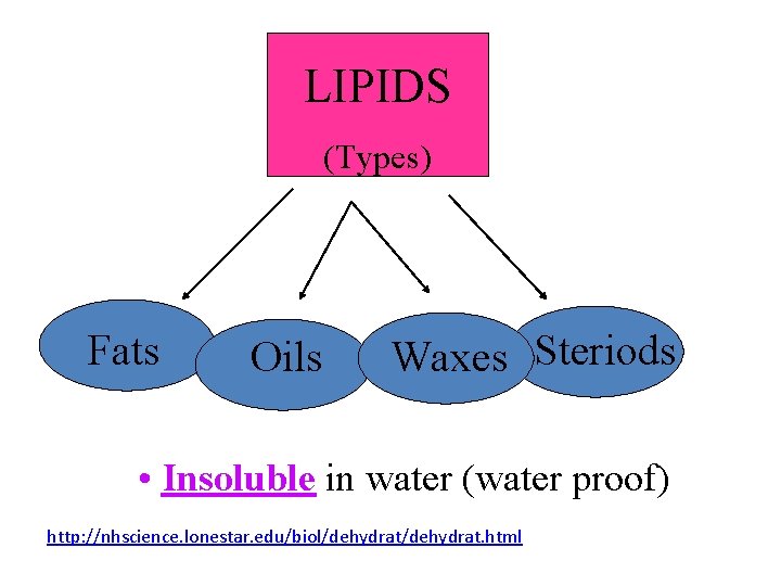 LIPIDS (Types) Fats Oils Waxes Steriods • Insoluble in water (water proof) http: //nhscience.