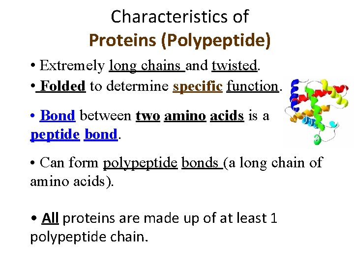 Characteristics of Proteins (Polypeptide) • Extremely long chains and twisted. • Folded to determine