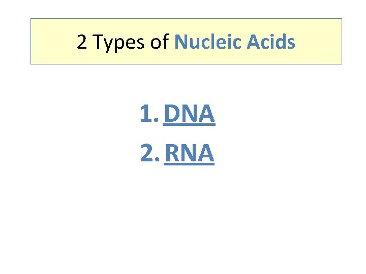 2 Types of Nucleic Acids 1. DNA 2. RNA 