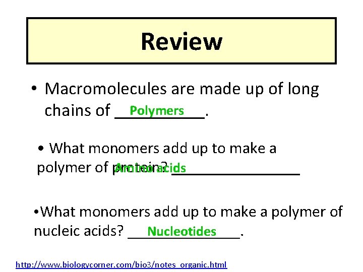 Review • Macromolecules are made up of long Polymers chains of _____. • What