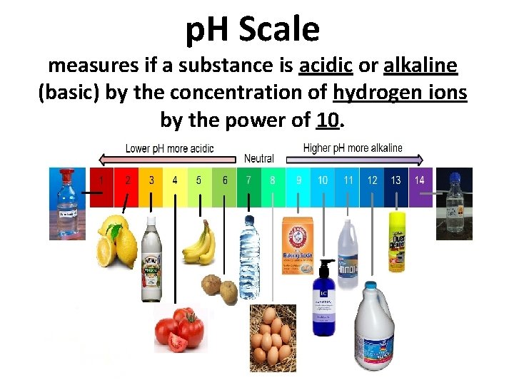 p. H Scale measures if a substance is acidic or alkaline (basic) by the