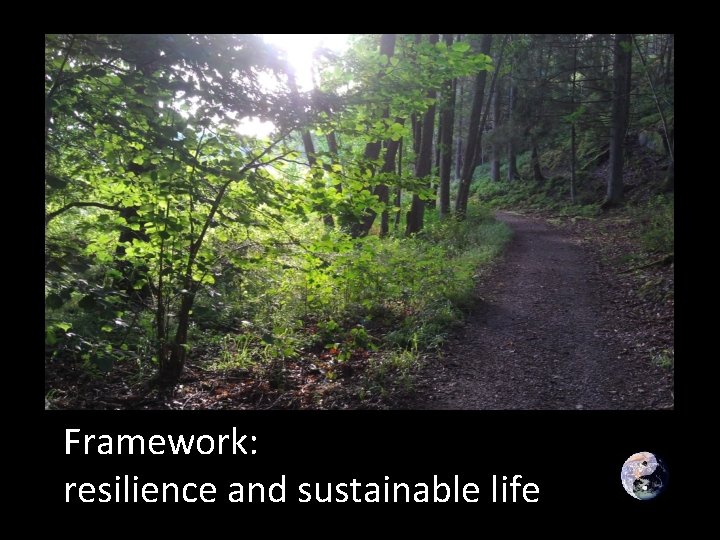 Framework: resilience and sustainable life 