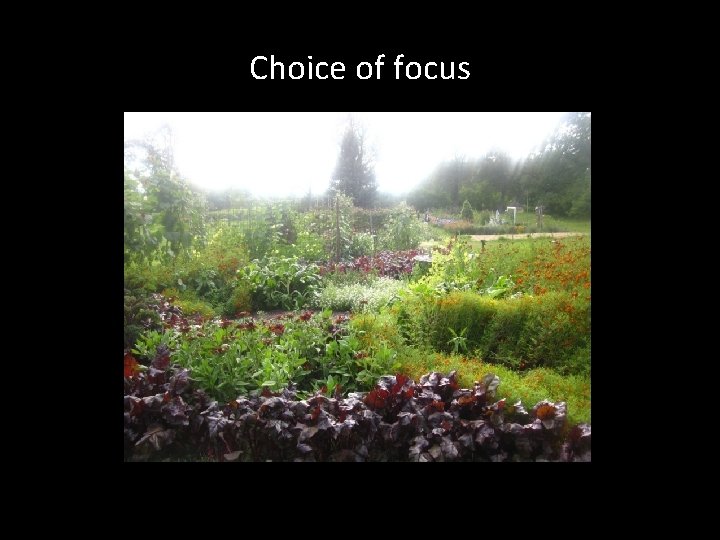 Choice of focus 