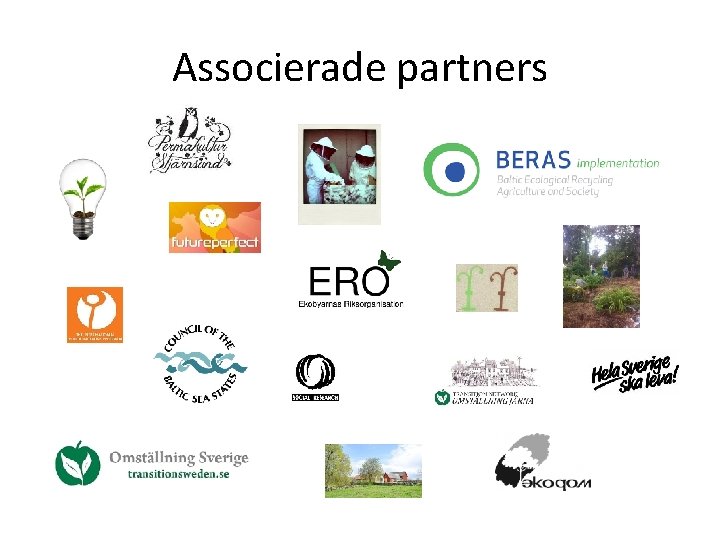 Associerade partners 