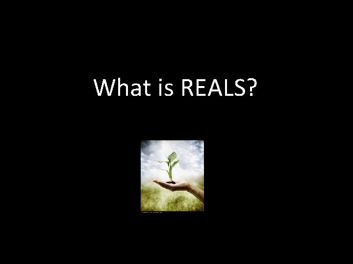 What is REALS? 