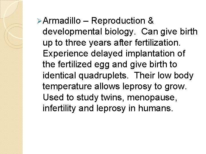 Ø Armadillo – Reproduction & developmental biology. Can give birth up to three years