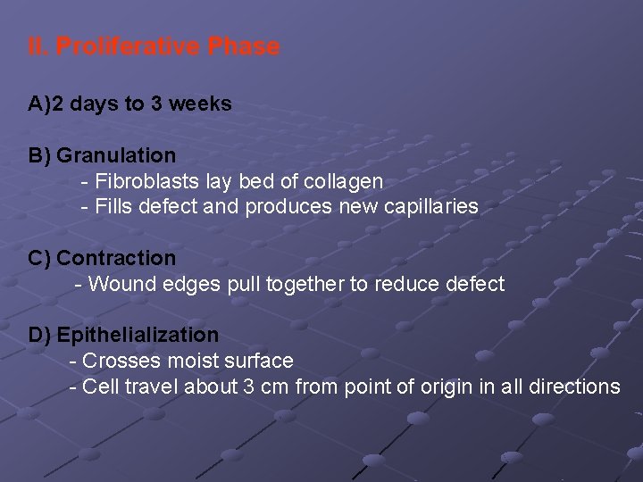II. Proliferative Phase A) 2 days to 3 weeks B) Granulation - Fibroblasts lay