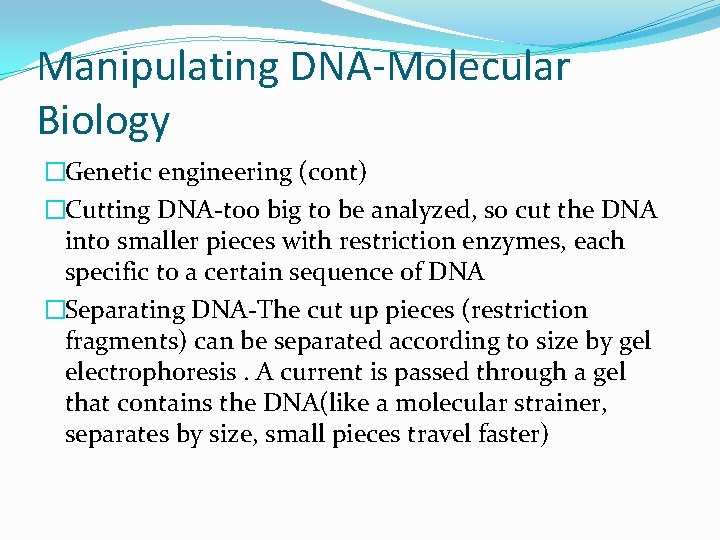 Manipulating DNA-Molecular Biology �Genetic engineering (cont) �Cutting DNA-too big to be analyzed, so cut