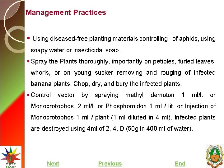 Management Practices § Using diseased-free planting materials controlling of aphids, using soapy water or