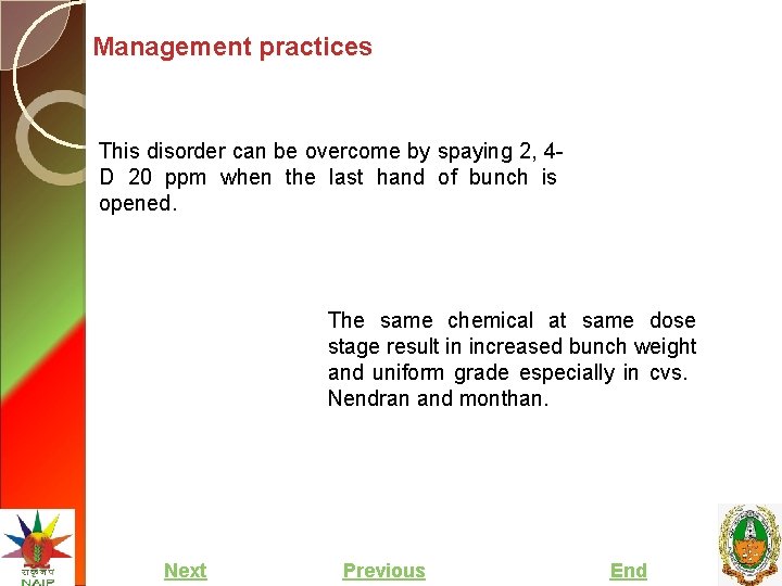 Management practices This disorder can be overcome by spaying 2, 4 D 20 ppm