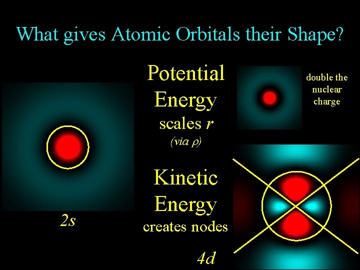 What gives Atomic Orbitals their Shape? Potential Energy scales r (via ) 2 s