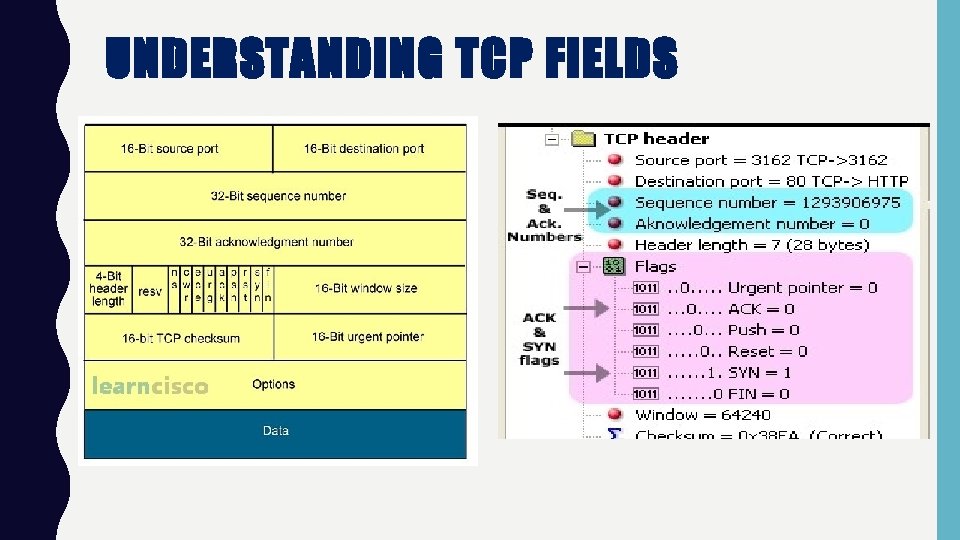 UNDERSTANDING TCP FIELDS 
