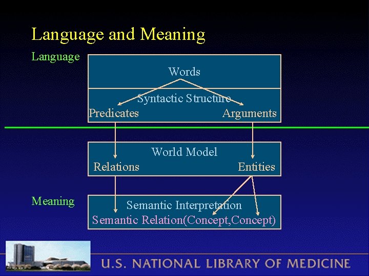 Language and Meaning Language Words Syntactic Structure Predicates Arguments World Model Relations Meaning Entities