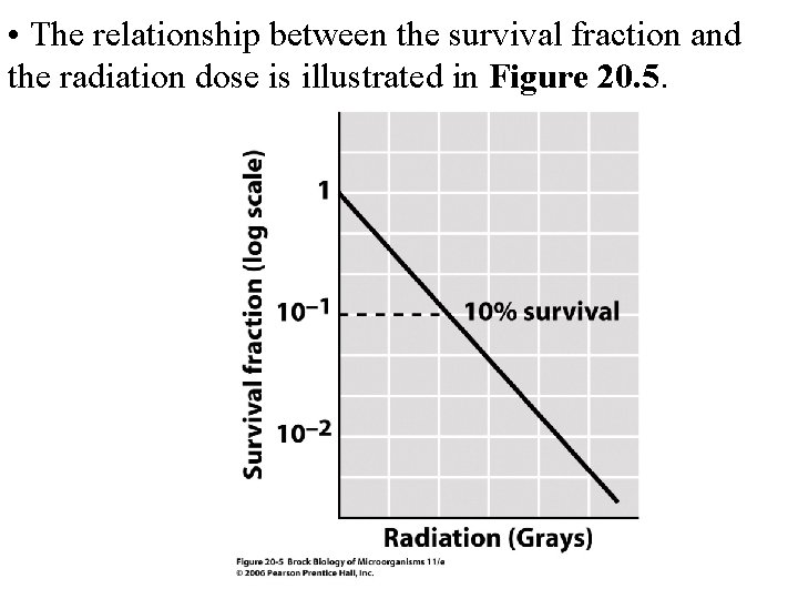  • The relationship between the survival fraction and the radiation dose is illustrated
