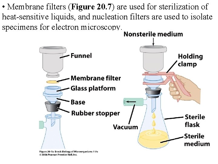  • Membrane filters (Figure 20. 7) are used for sterilization of heat-sensitive liquids,