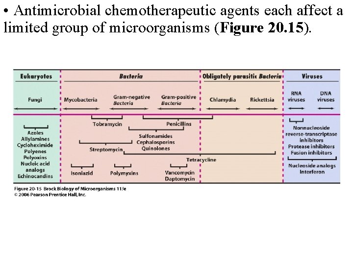  • Antimicrobial chemotherapeutic agents each affect a limited group of microorganisms (Figure 20.