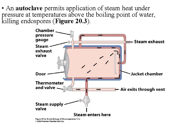  • An autoclave permits application of steam heat under pressure at temperatures above