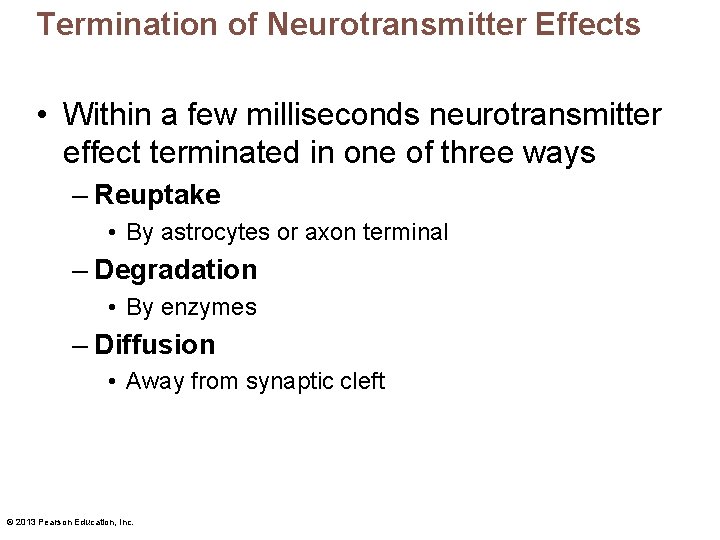 Termination of Neurotransmitter Effects • Within a few milliseconds neurotransmitter effect terminated in one