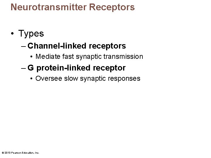 Neurotransmitter Receptors • Types – Channel-linked receptors • Mediate fast synaptic transmission – G