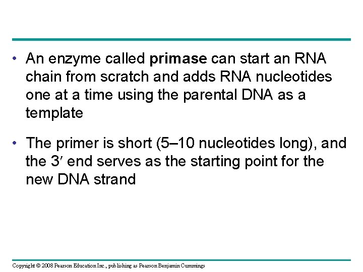  • An enzyme called primase can start an RNA chain from scratch and