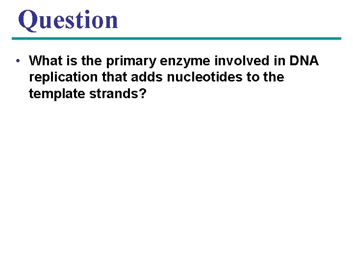 Question • What is the primary enzyme involved in DNA replication that adds nucleotides