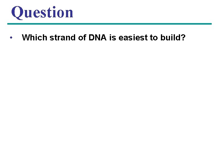 Question • Which strand of DNA is easiest to build? 