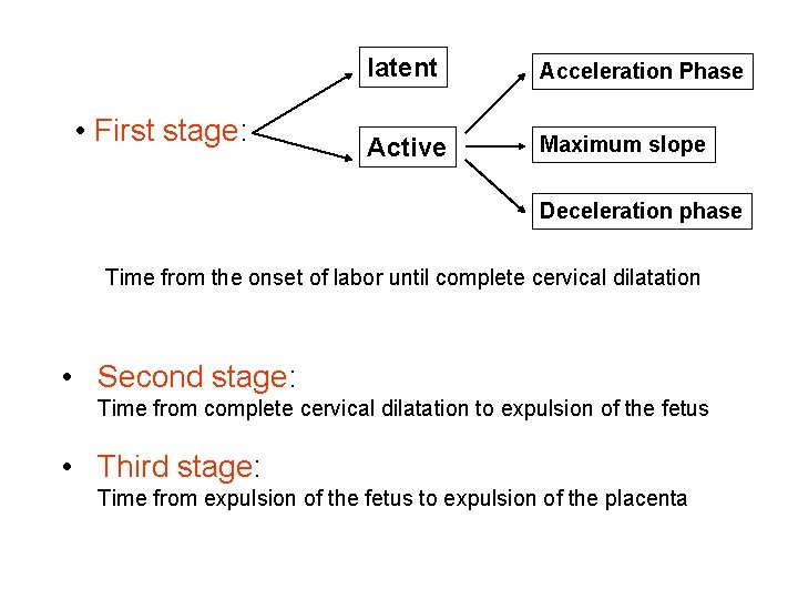  • First stage: latent Acceleration Phase Active Maximum slope Deceleration phase Time from