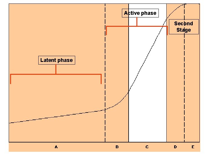 Active phase Second Stage Latent phase 