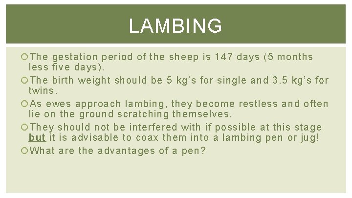 LAMBING The gestation period of the sheep is 147 days (5 months less five