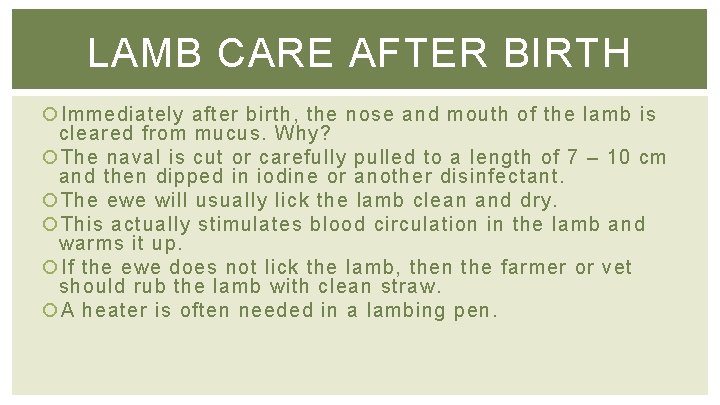 LAMB CARE AFTER BIRTH Immediately after birth, the nose and mouth of the lamb