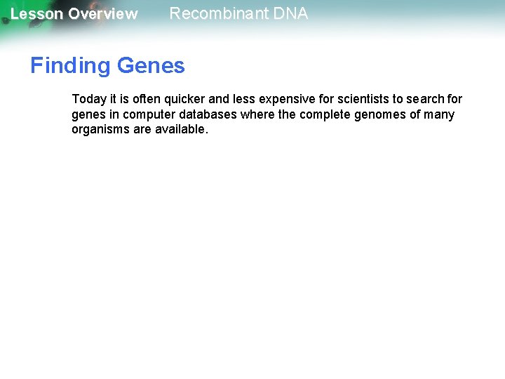 Lesson Overview Recombinant DNA Finding Genes Today it is often quicker and less expensive