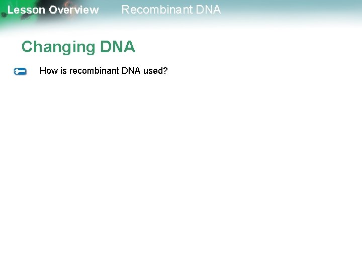 Lesson Overview Recombinant DNA Changing DNA How is recombinant DNA used? 