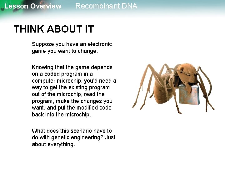 Lesson Overview Recombinant DNA THINK ABOUT IT Suppose you have an electronic game you