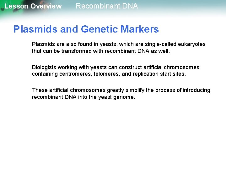 Lesson Overview Recombinant DNA Plasmids and Genetic Markers Plasmids are also found in yeasts,