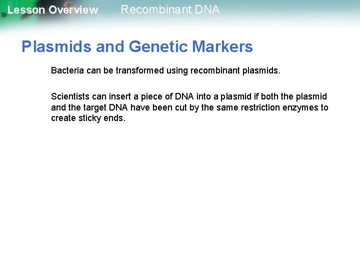 Lesson Overview Recombinant DNA Plasmids and Genetic Markers Bacteria can be transformed using recombinant