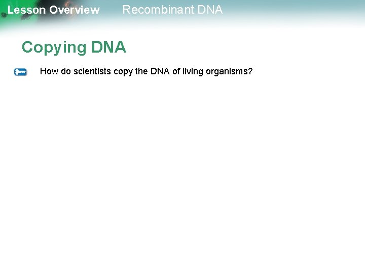 Lesson Overview Recombinant DNA Copying DNA How do scientists copy the DNA of living
