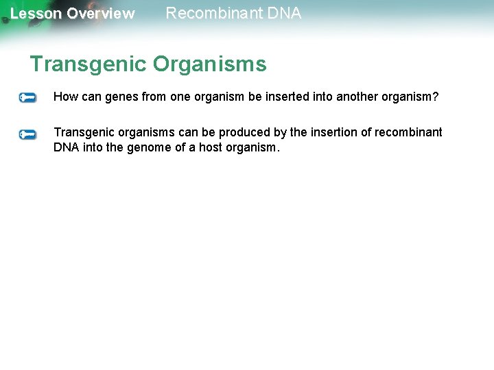 Lesson Overview Recombinant DNA Transgenic Organisms How can genes from one organism be inserted