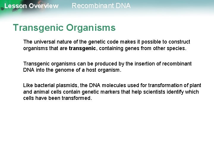 Lesson Overview Recombinant DNA Transgenic Organisms The universal nature of the genetic code makes