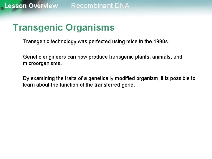 Lesson Overview Recombinant DNA Transgenic Organisms Transgenic technology was perfected using mice in the