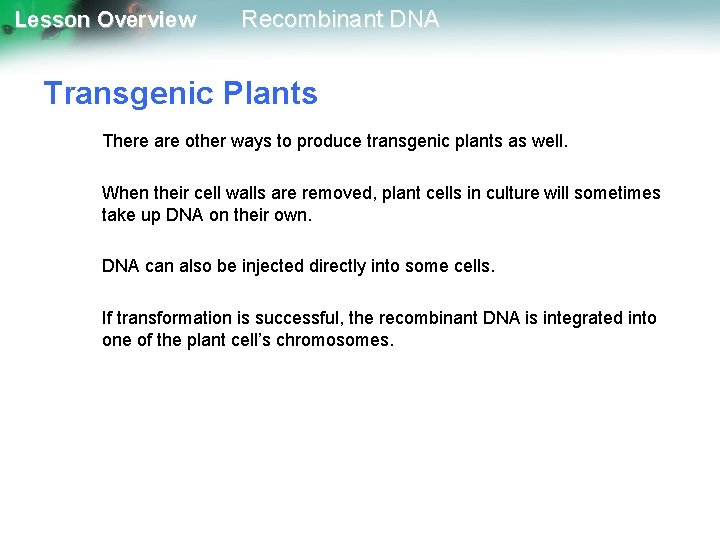 Lesson Overview Recombinant DNA Transgenic Plants There are other ways to produce transgenic plants