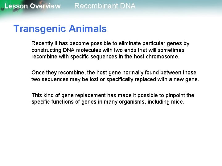 Lesson Overview Recombinant DNA Transgenic Animals Recently it has become possible to eliminate particular