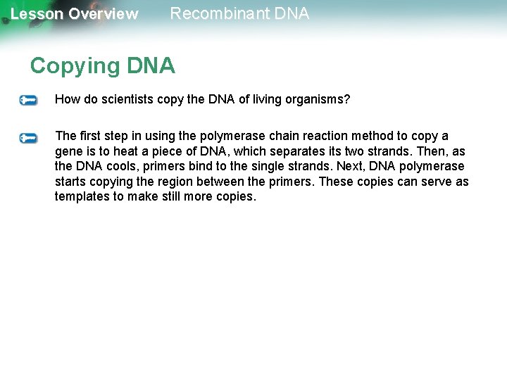 Lesson Overview Recombinant DNA Copying DNA How do scientists copy the DNA of living