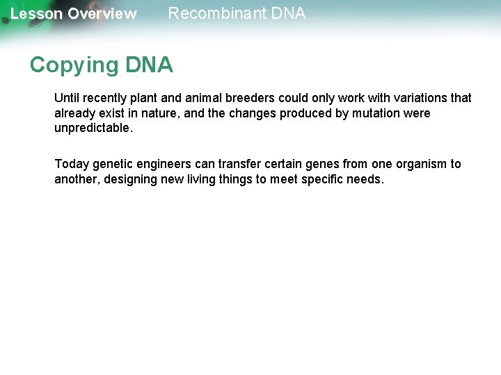 Lesson Overview Recombinant DNA Copying DNA Until recently plant and animal breeders could only