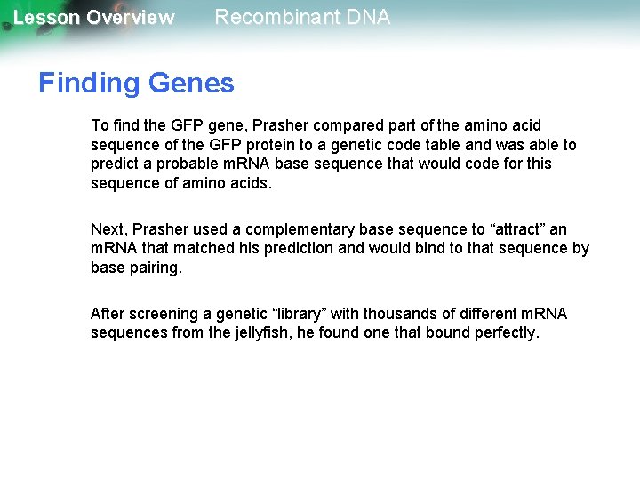 Lesson Overview Recombinant DNA Finding Genes To find the GFP gene, Prasher compared part