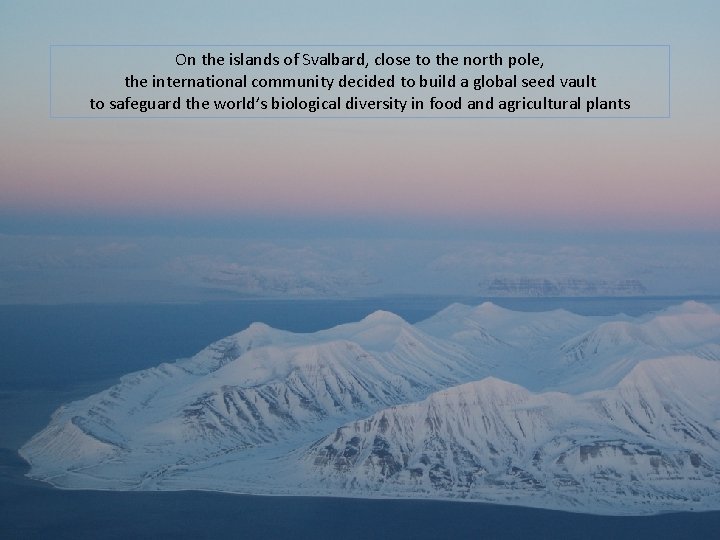 On the islands of Svalbard, close to the north pole, the international community decided