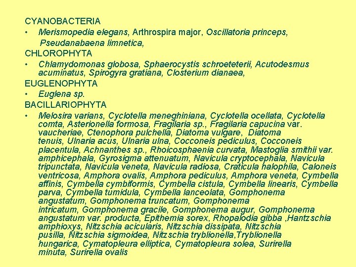 CYANOBACTERIA • Merismopedia elegans, Arthrospira major, Oscillatoria princeps, Pseudanabaena limnetica, CHLOROPHYTA • Chlamydomonas globosa,