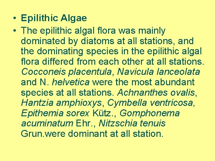  • Epilithic Algae • The epilithic algal flora was mainly dominated by diatoms
